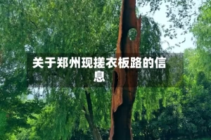 关于郑州现搓衣板路的信息