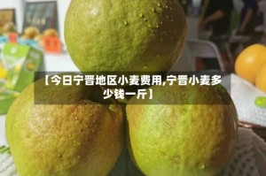 【今日宁晋地区小麦费用,宁晋小麦多少钱一斤】