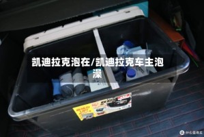 凯迪拉克泡在/凯迪拉克车主泡澡