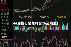 pta后期行情怎样(pta还能涨)
