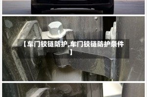 【车门铰链防护,车门铰链防护条件】