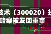 部分银江技术（300020）投资者索赔案被发回重审