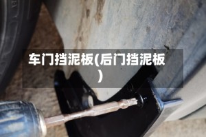 车门挡泥板(后门挡泥板)