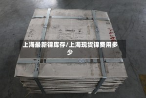 上海最新镍库存/上海现货镍费用多少