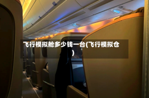 飞行模拟舱多少钱一台(飞行模拟仓)