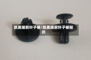 凯美瑞前叶子板/凯美瑞前叶子板标识