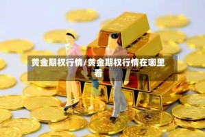 黄金期权行情/黄金期权行情在哪里看