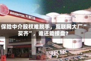 保险中介股权难脱手，互联网大厂“买齐”，谁还能接盘？