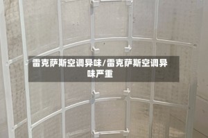 雷克萨斯空调异味/雷克萨斯空调异味严重