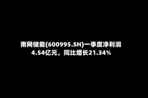 南网储能(600995.SH)一季度净利润4.54亿元，同比增长21.34%