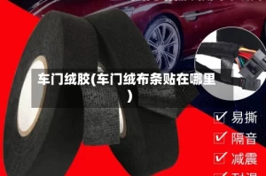 车门绒胶(车门绒布条贴在哪里)