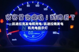 凯迪拉克发电机充电/凯迪拉克发电机充电指示灯
