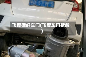 飞度碳纤车门(飞度车门拆解)