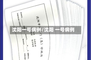 沈阳一号病例/沈阳 一号病例