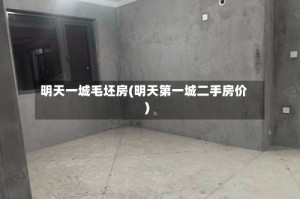 明天一城毛坯房(明天第一城二手房价)