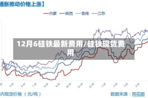 12月6硅铁最新费用/硅铁现货费用