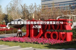 尝高美集团因购股权获行使而发行70.5万股