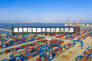 徐长明：世界化是中国车企未来的重大机遇