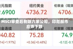 MSCI审查后剔除六家公司，印尼股市应声下跌