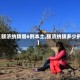【额济纳旗增6例本土,额济纳旗多少例】