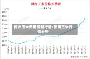 德州玉米费用最新行情/德州玉米行情分析