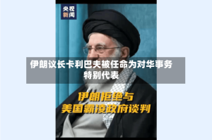 伊朗议长卡利巴夫被任命为对华事务特别代表