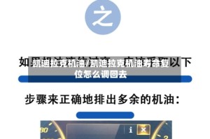 凯迪拉克机油/凯迪拉克机油寿命复位怎么调回去