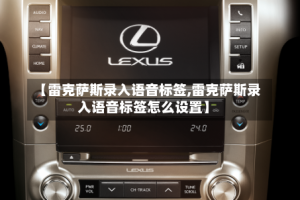 【雷克萨斯录入语音标签,雷克萨斯录入语音标签怎么设置】