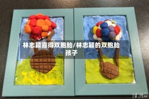 林志颖喜得双胞胎/林志颖的双胞胎孩子