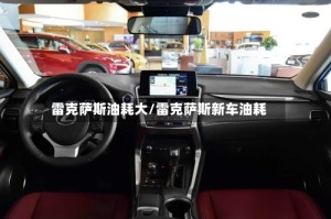 雷克萨斯油耗大/雷克萨斯新车油耗