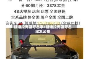 凯迪拉克蓝牙名字/凯迪拉克蓝牙名称怎么找