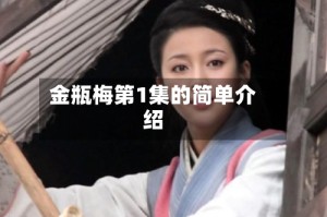 金瓶梅第1集的简单介绍