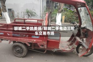 聊城二手凯美瑞/聊城二手电动三轮车交易市场