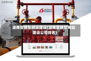 湖南营销型网站建设(湖南营销型网站建设公司排名)