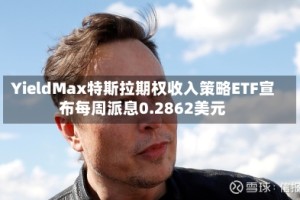 YieldMax特斯拉期权收入策略ETF宣布每周派息0.2862美元