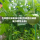 万邦西红柿批发行情(万邦西红柿批发行情怎么样)