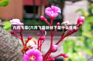 六月飞霜(六月飞霜纷纷下是什么生肖)