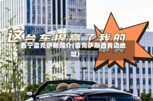 西宁雷克萨斯简介(雷克萨斯西青店地址)