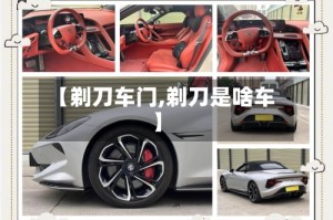 【剃刀车门,剃刀是啥车】
