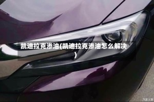 凯迪拉克渗油(凯迪拉克渗油怎么解决)