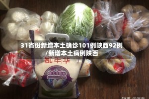 31省份新增本土确诊101例陕西92例/新增本土病例陕西