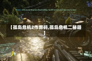 【孤岛危机2作弊码,孤岛危机二秘籍】