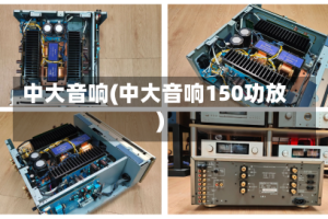 中大音响(中大音响150功放)