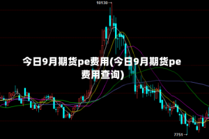 今日9月期货pe费用(今日9月期货pe费用查询)