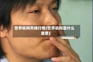 世界机构市场行情(世界机构是什么意思)