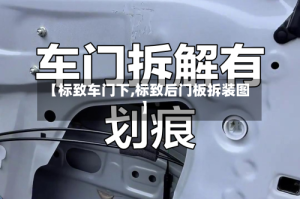 【标致车门下,标致后门板拆装图】