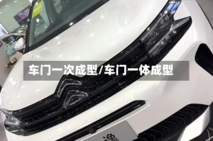 车门一次成型/车门一体成型