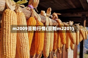 m2009豆粕行情(豆粕m2201)