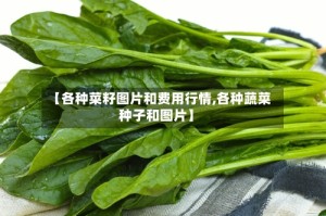 【各种菜籽图片和费用行情,各种蔬菜种子和图片】
