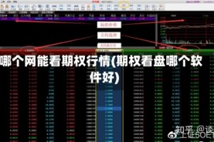 哪个网能看期权行情(期权看盘哪个软件好)